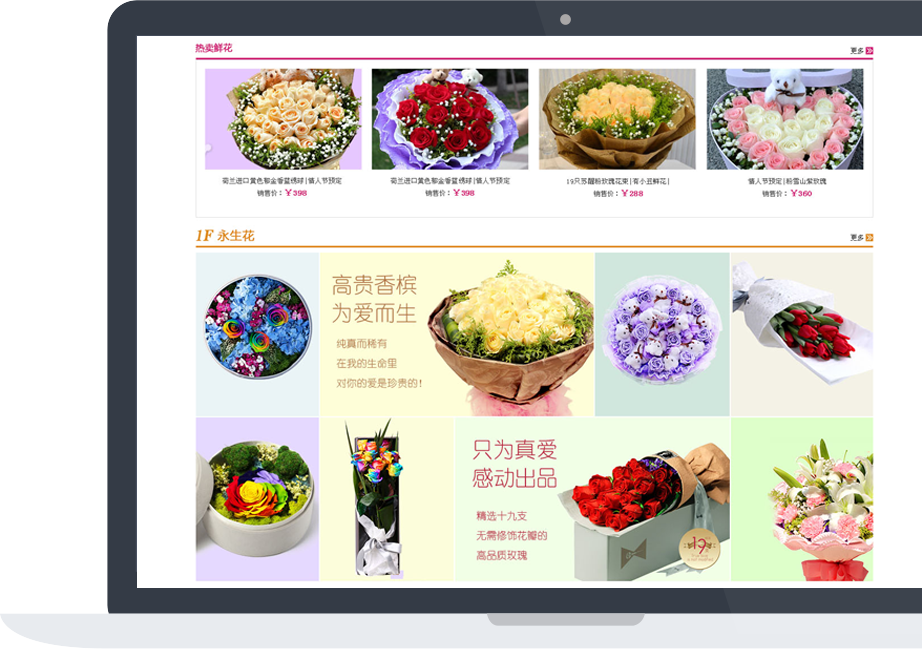 網(wǎng)站建設(shè)案例效果圖