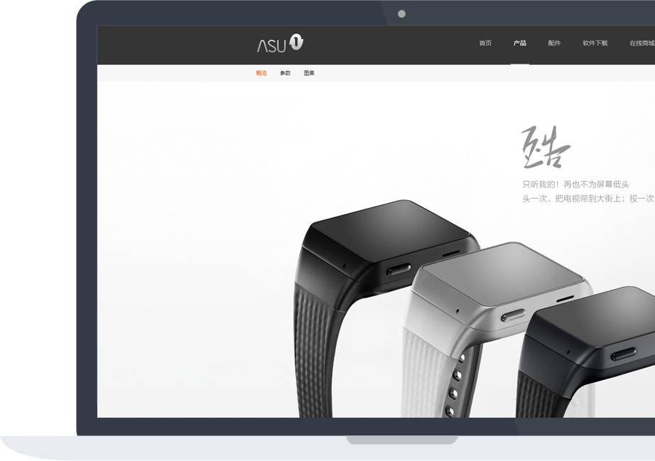 網(wǎng)站建設(shè)案例效果圖