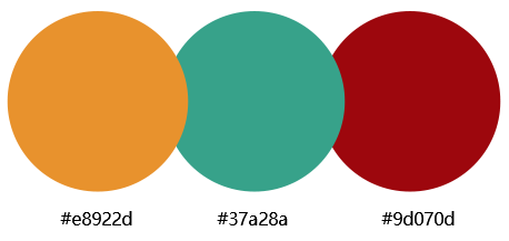 網站建設案例效果圖