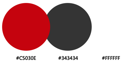 網(wǎng)站建設案例效果圖