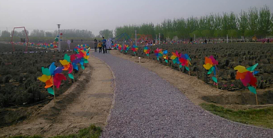 豐臺網站制作公司春游